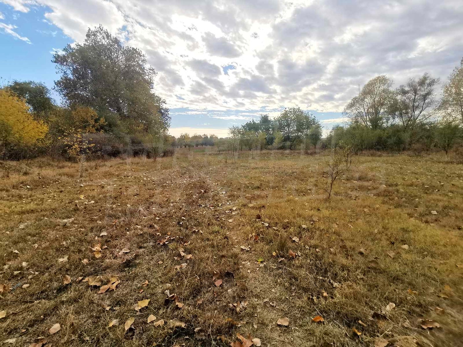 outside, green area