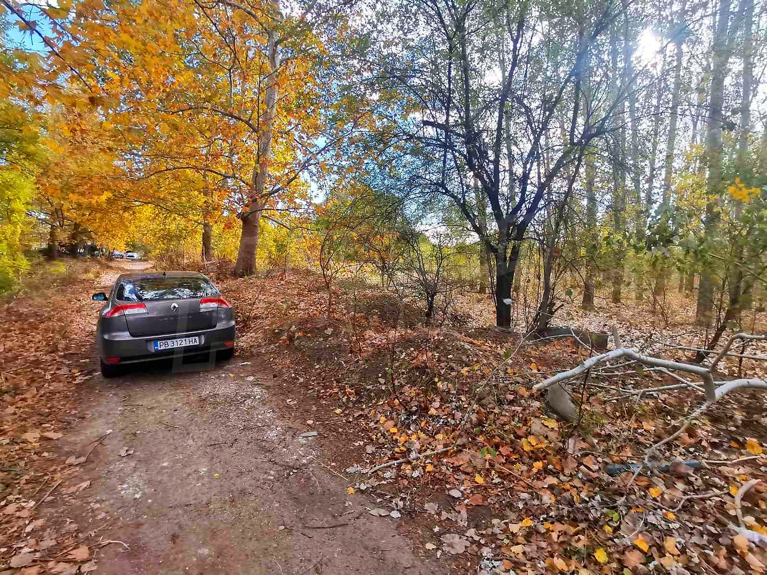 outside, green area