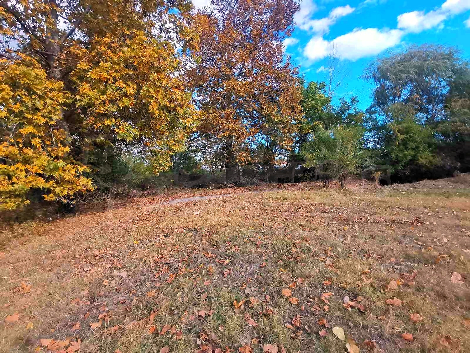 outside, garden, green area