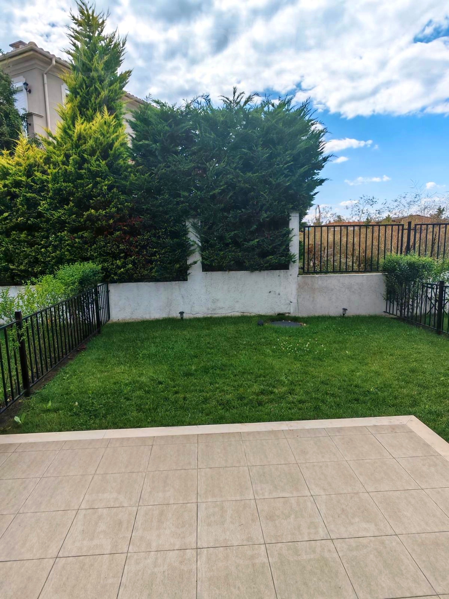 outside, garden, green area