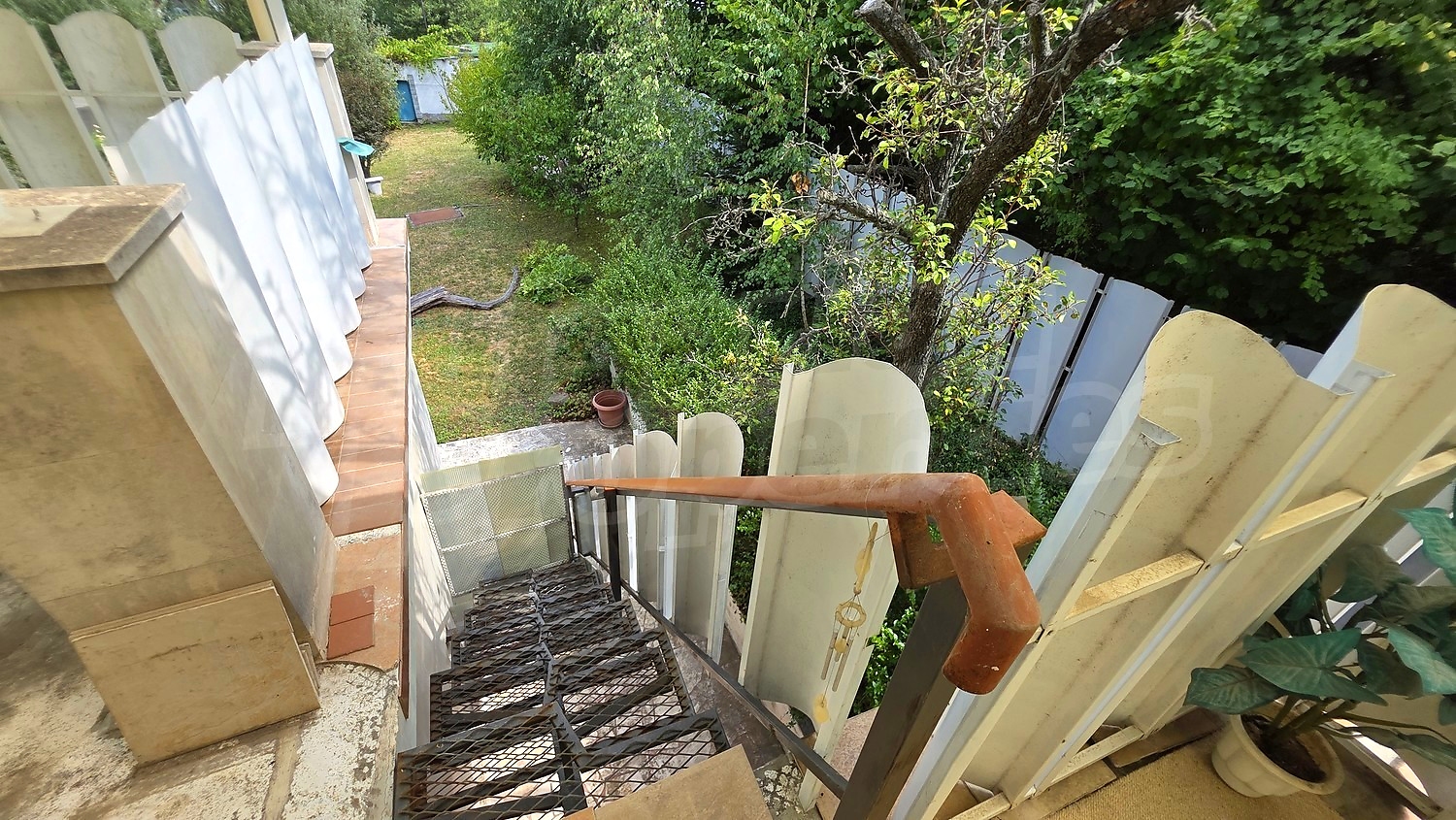 outside, garden