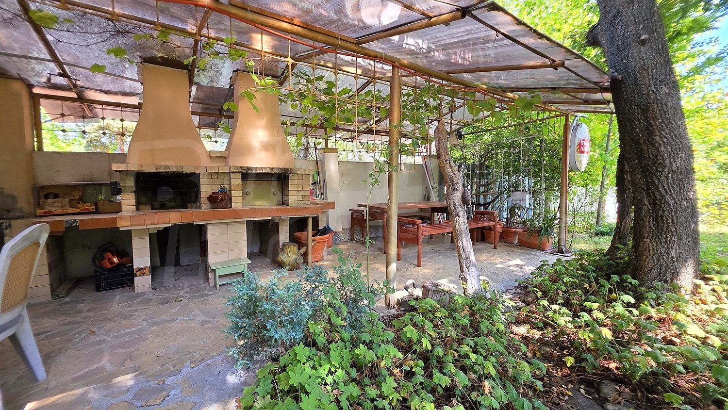 outside, garden