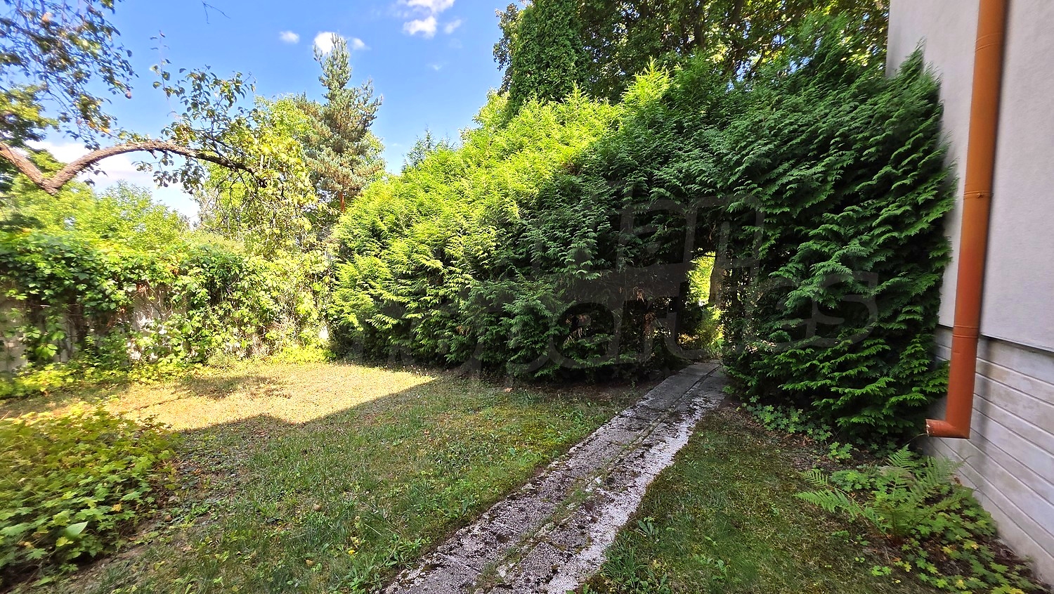 garden, outside, green area