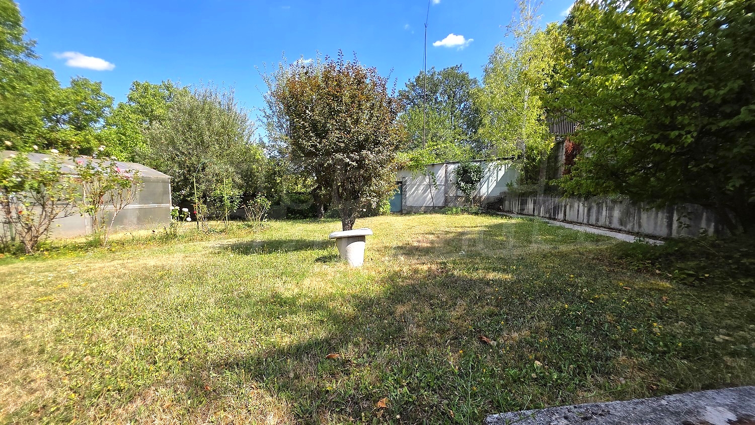 outside, garden, green area