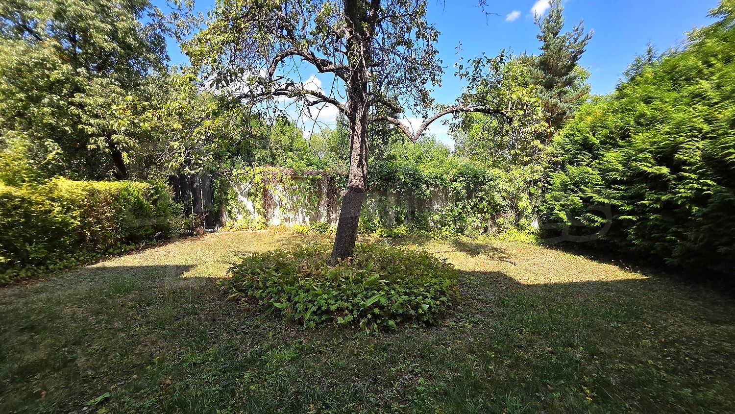 garden, outside, green area