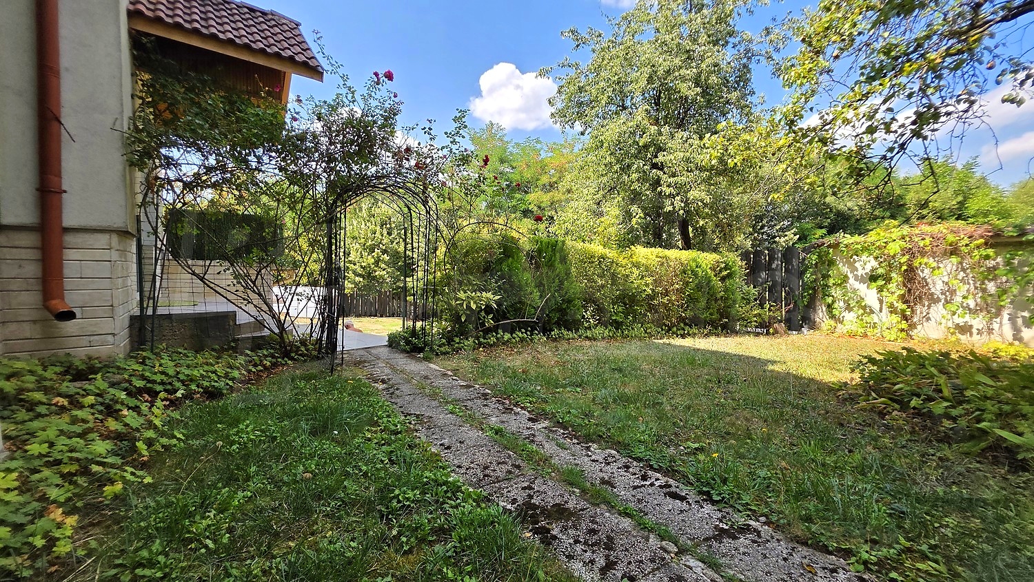 outside, garden, green area
