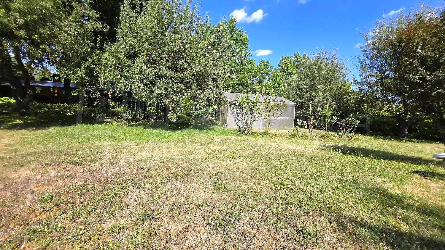 outside, garden, green area