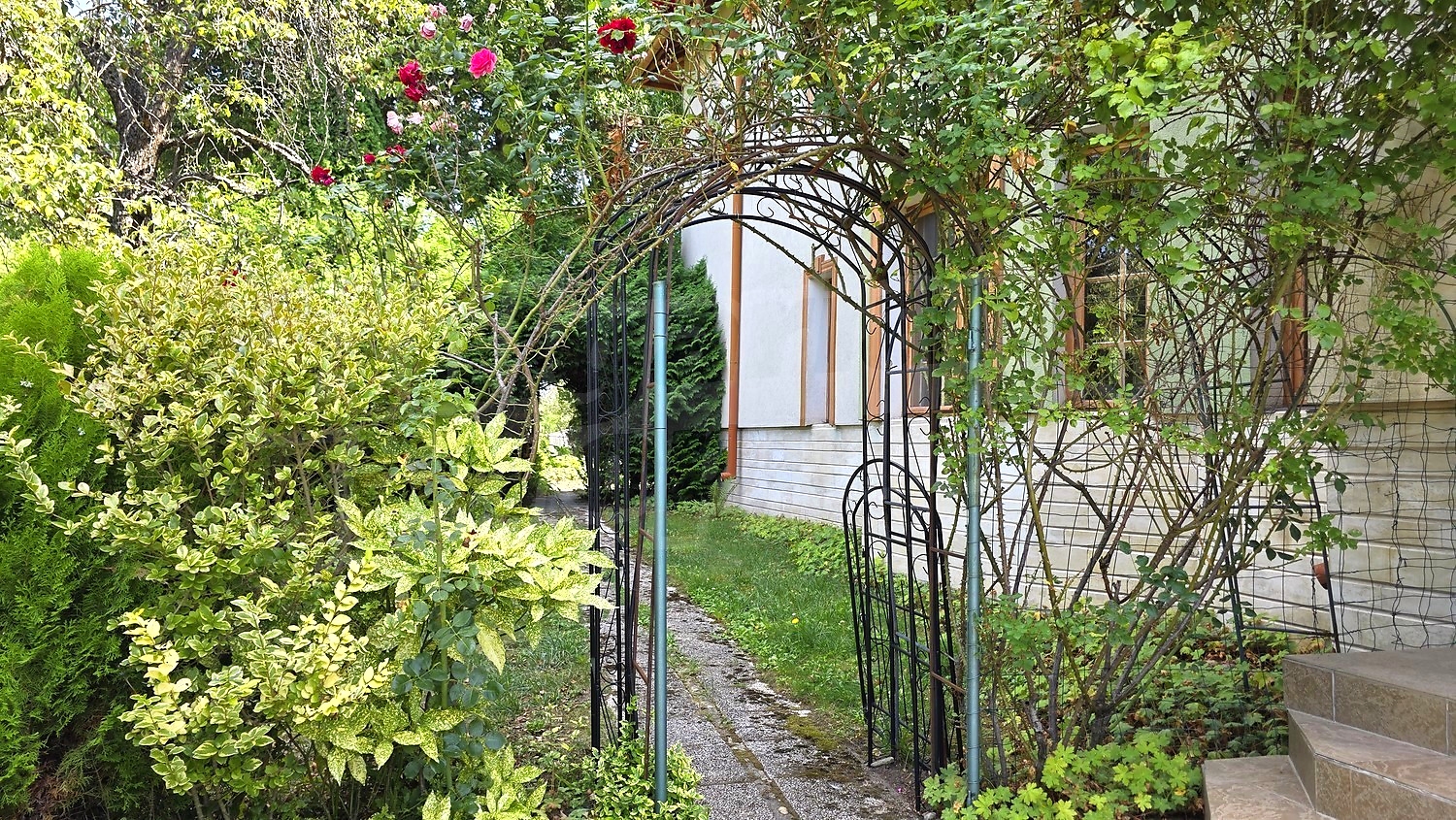 garden, outside, facade, green area