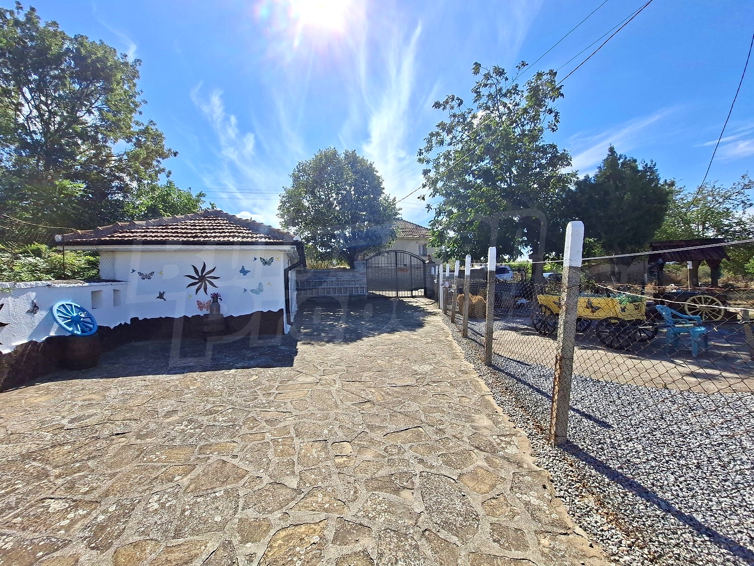 outside, garden