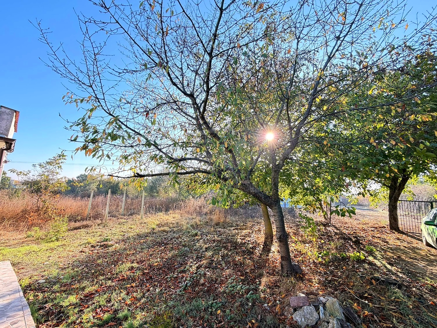 outside, garden, green area