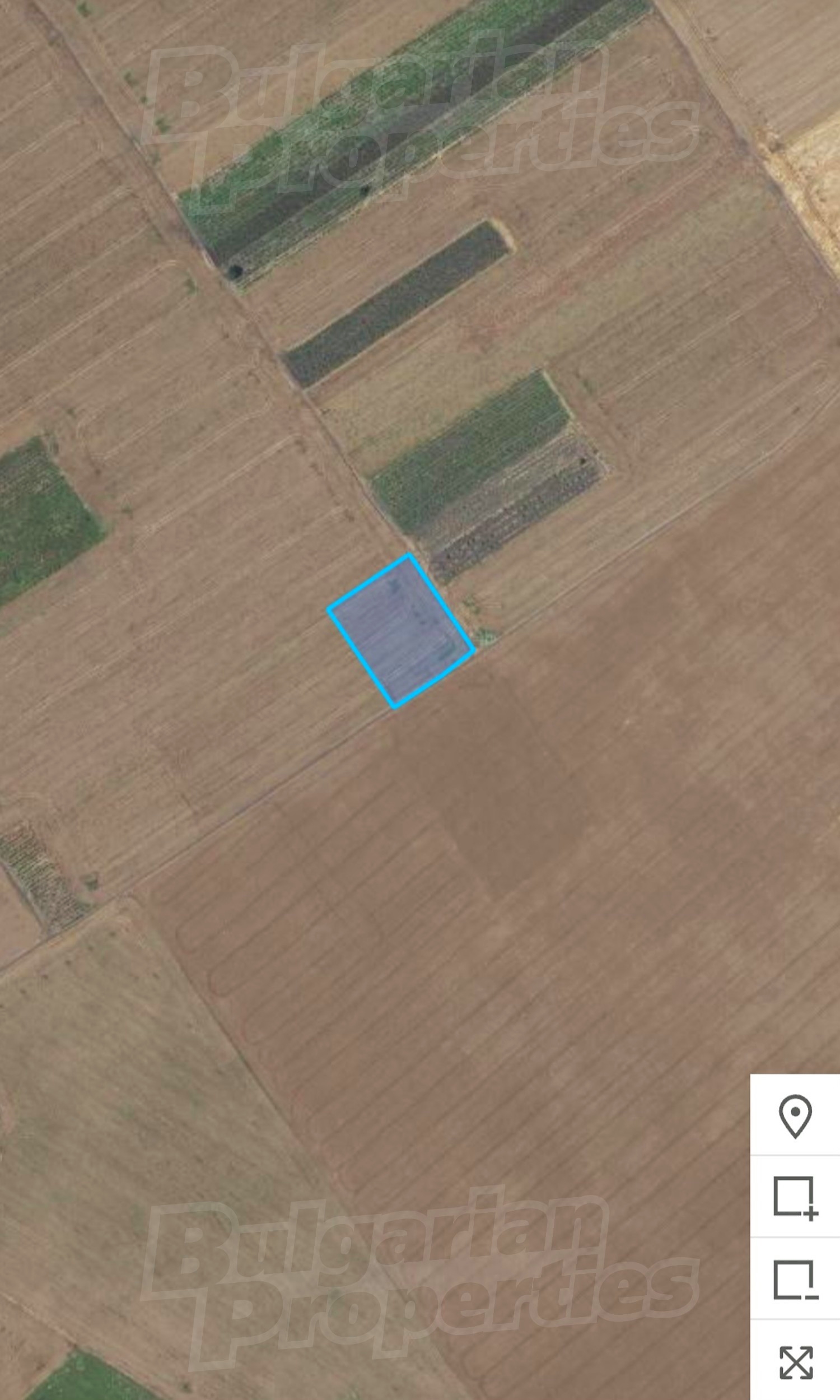 outside, green area