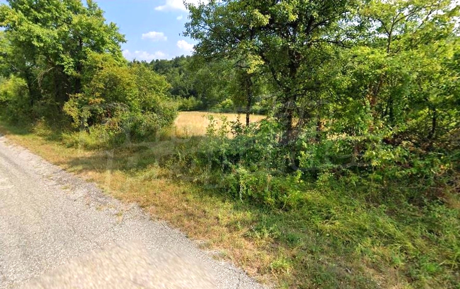 outside, green area