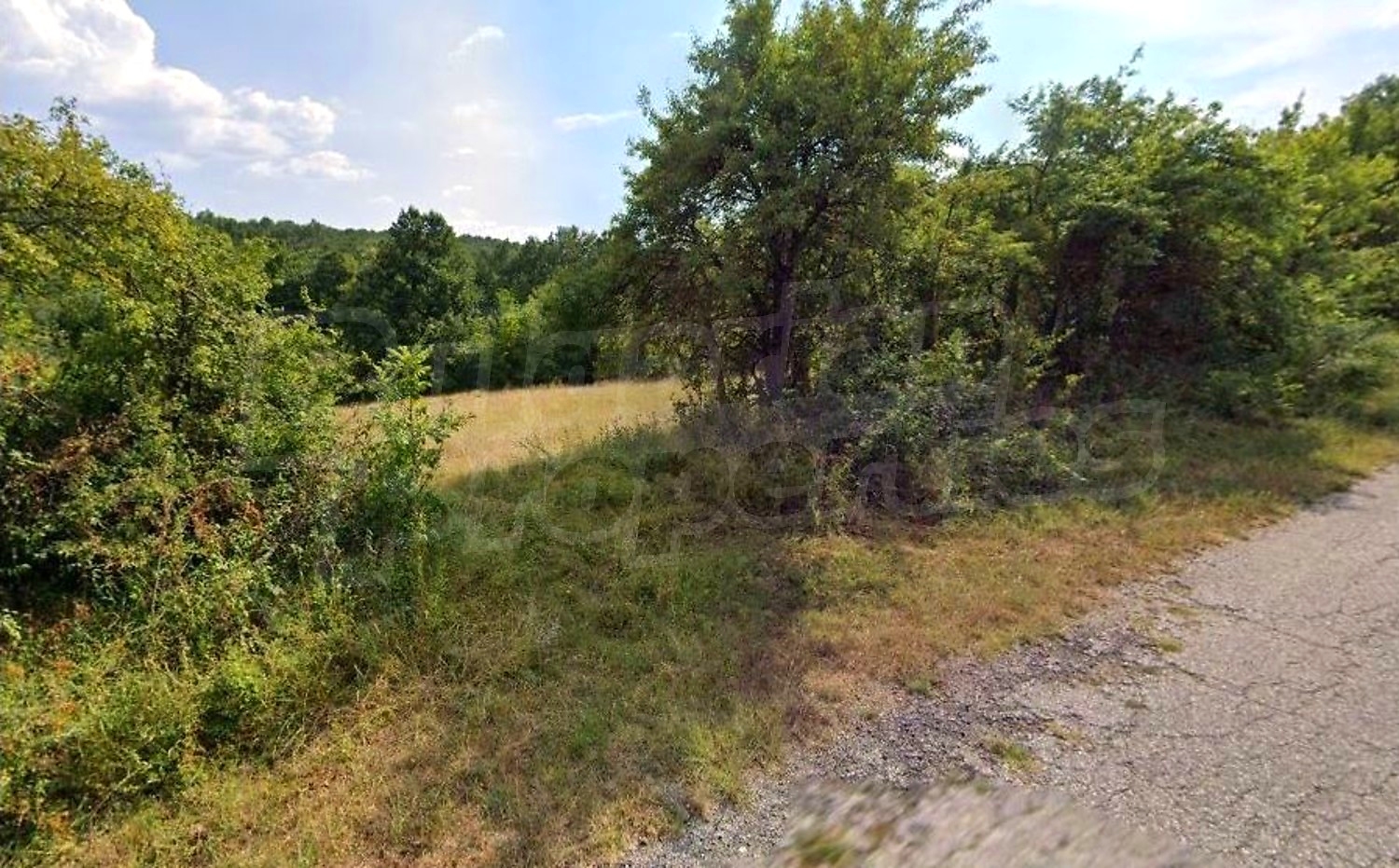 outside, green area