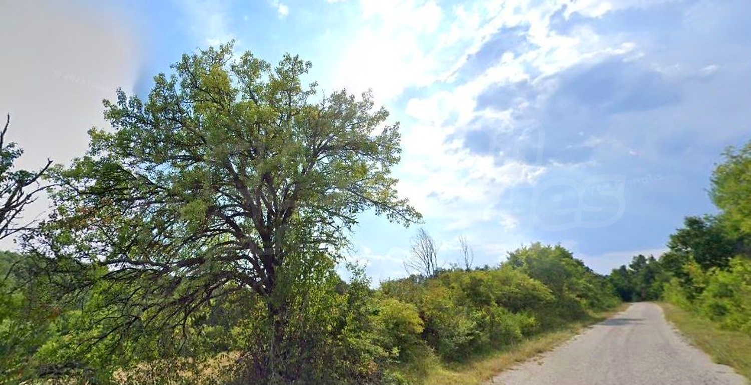 outside, green area
