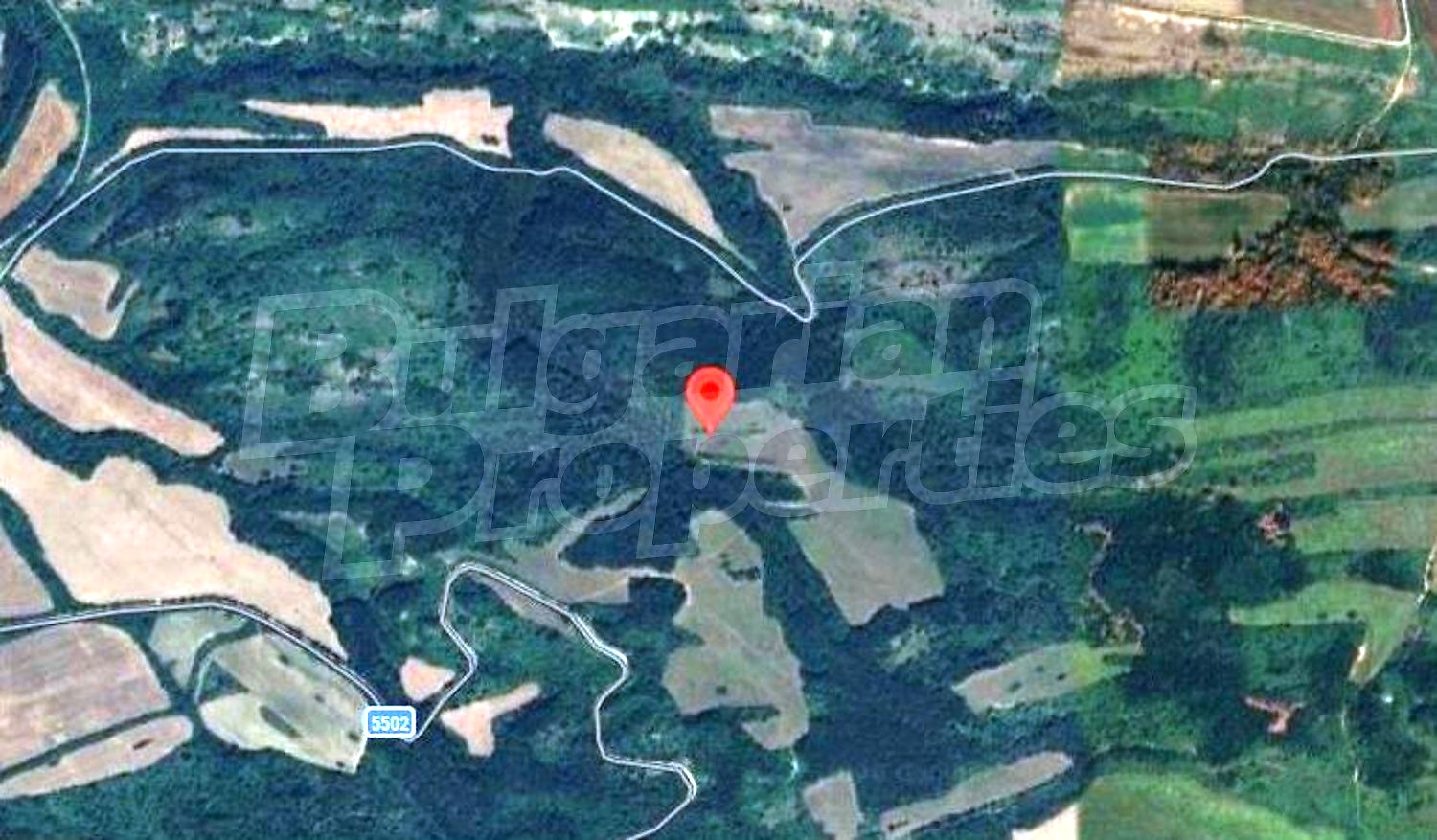 outside, green area