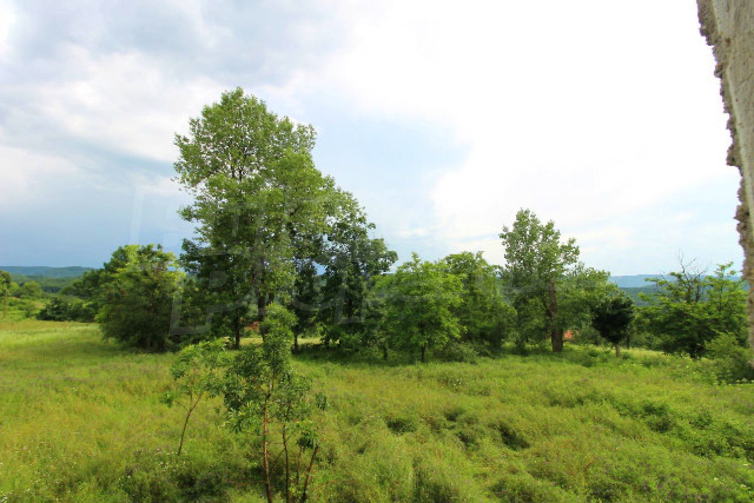 outside, green area