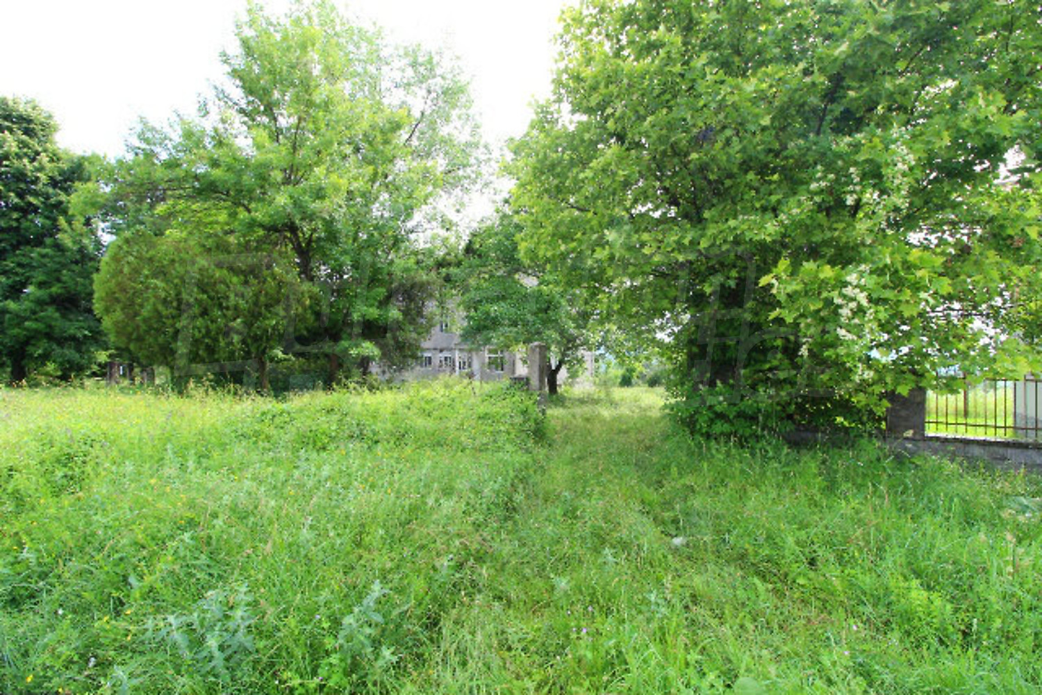 outside, green area, garden