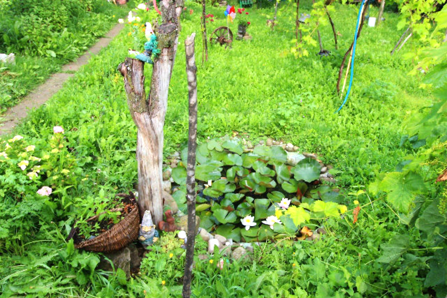 outside, garden, green area