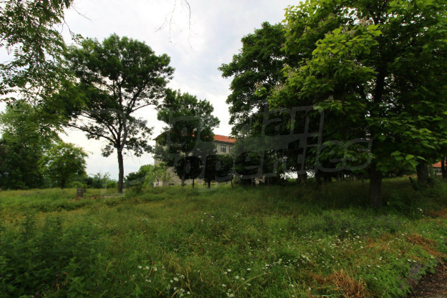 outside, green area, garden