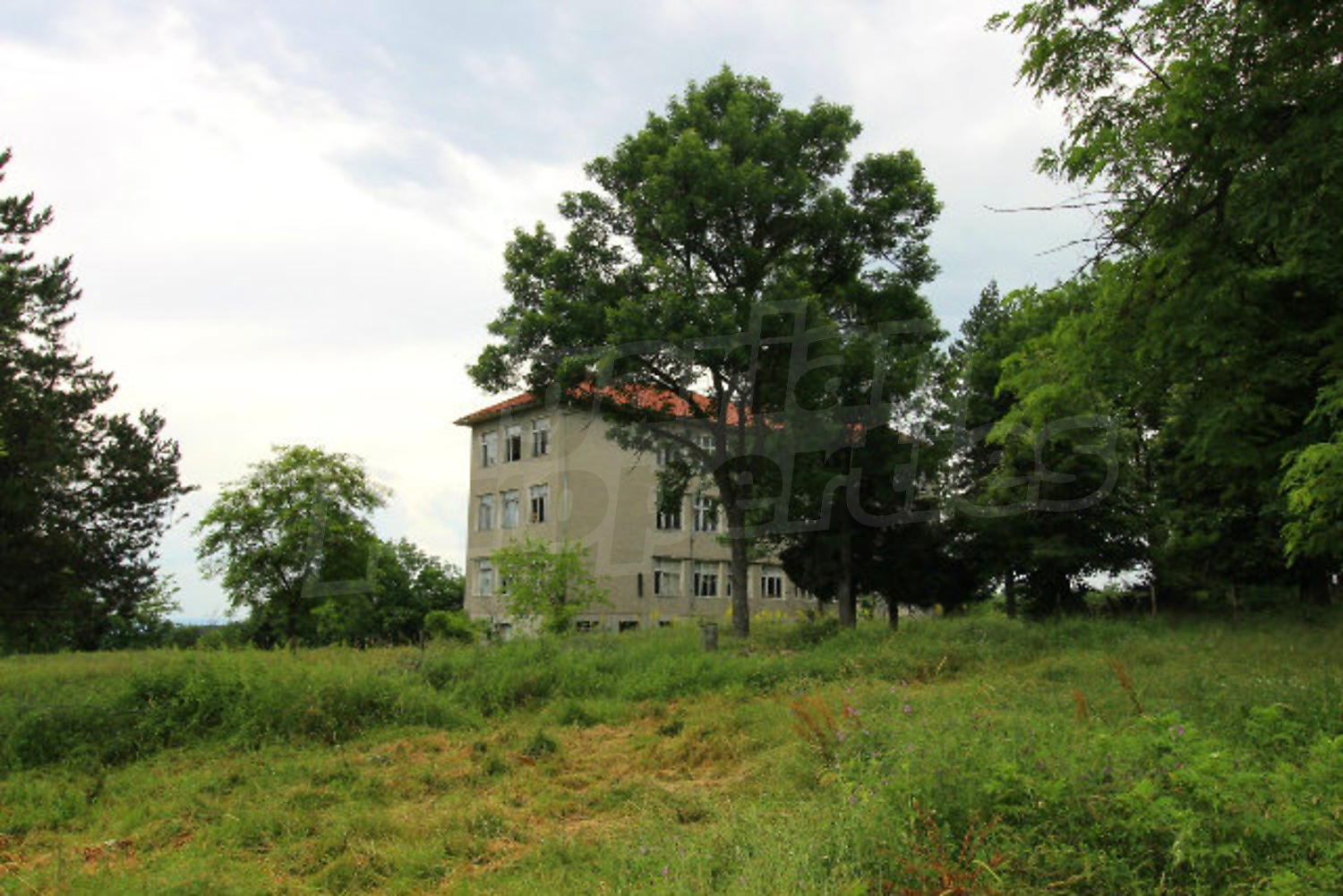 outside, facade, green area