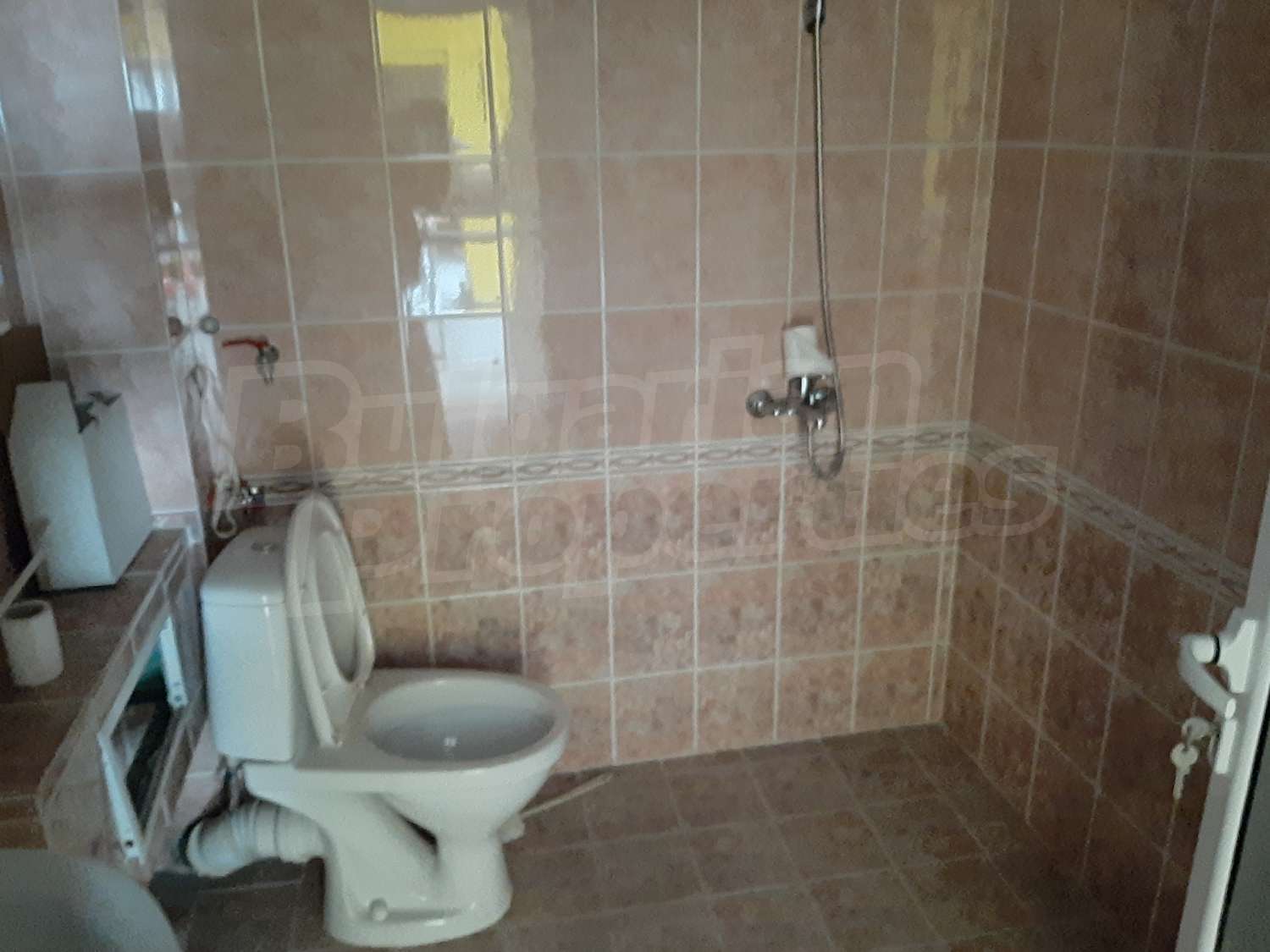 bathroom, toilet
