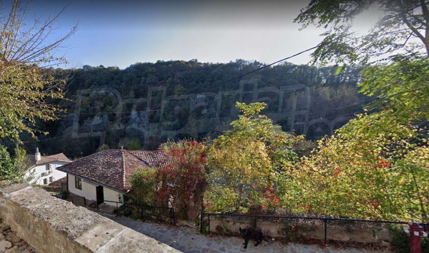 outside, green area, view from balcony