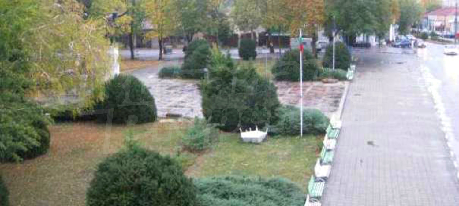 outside, green area