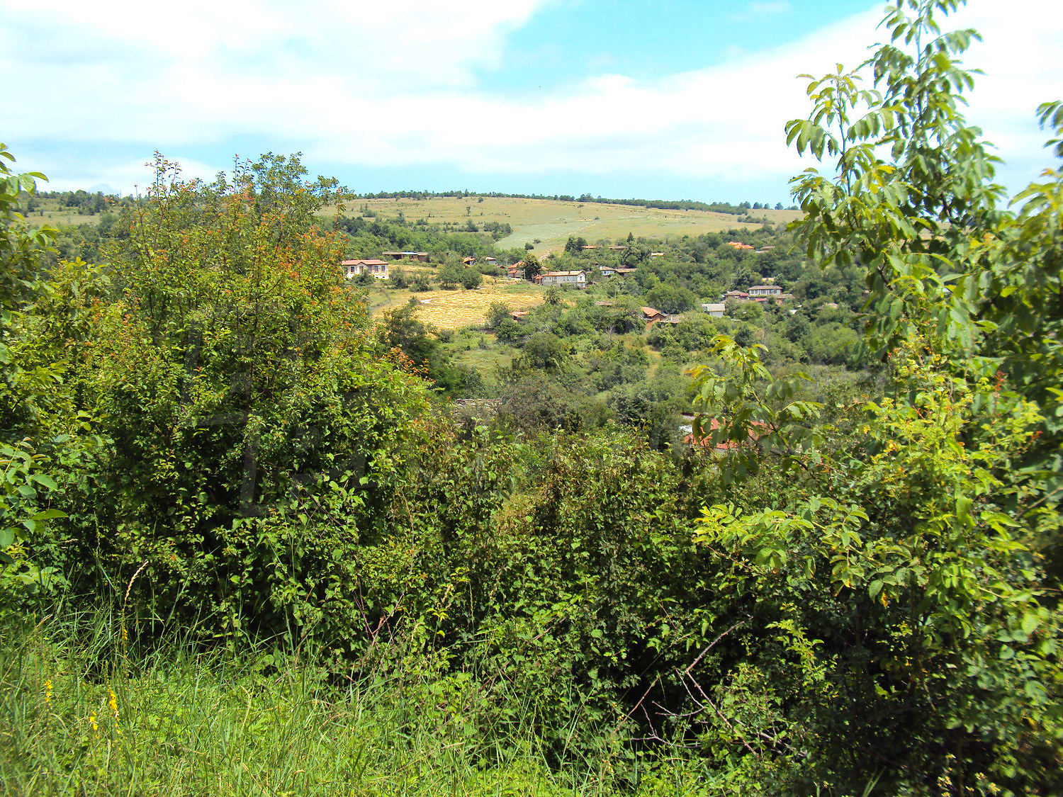 outside, green area