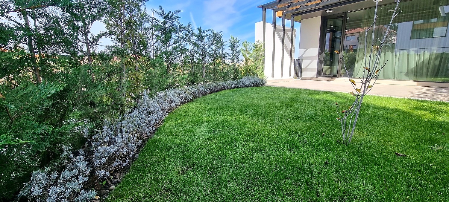 outside, garden