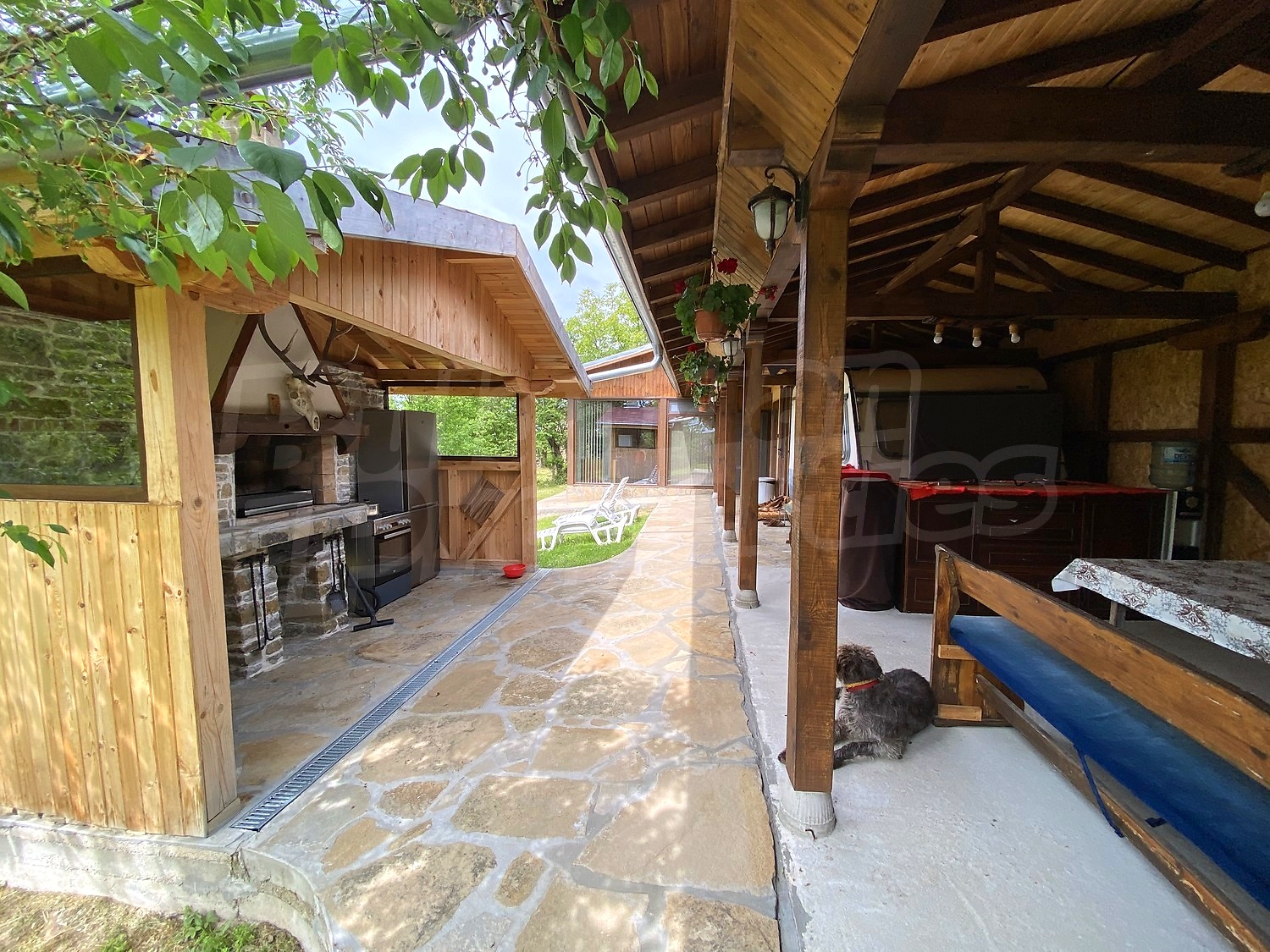 outside, garden