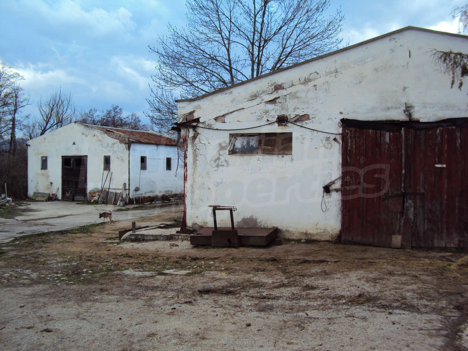 outside, facade, garden