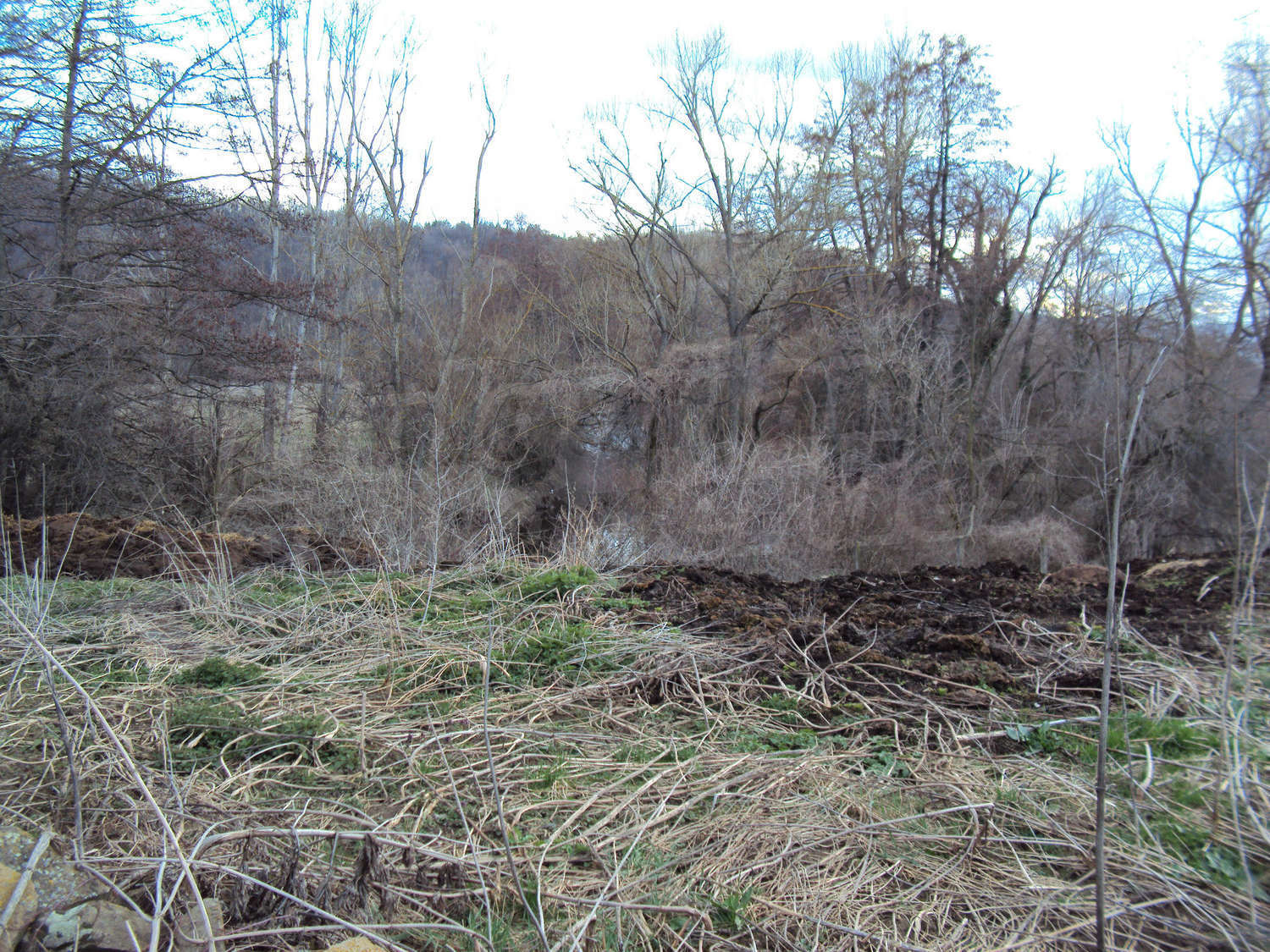 outside, green area