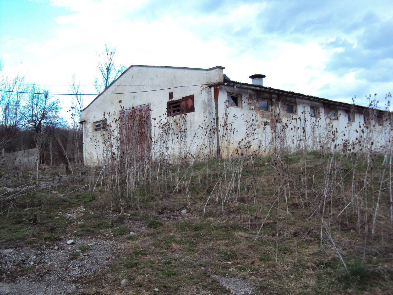 outside, facade, garden
