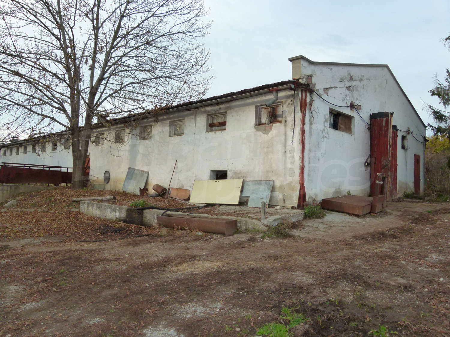 facade, outside, garden
