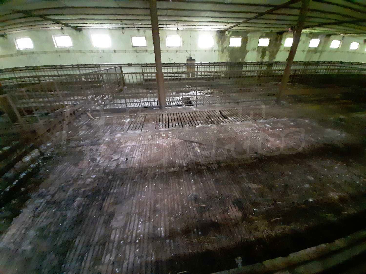 inside