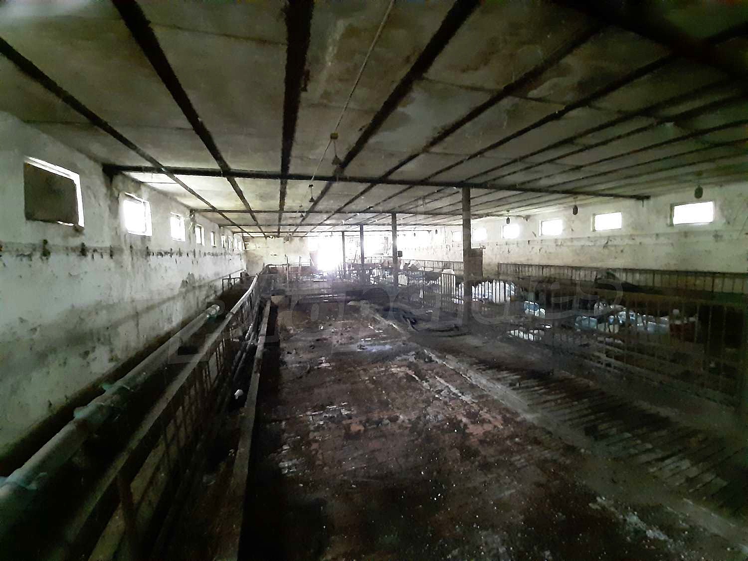 inside