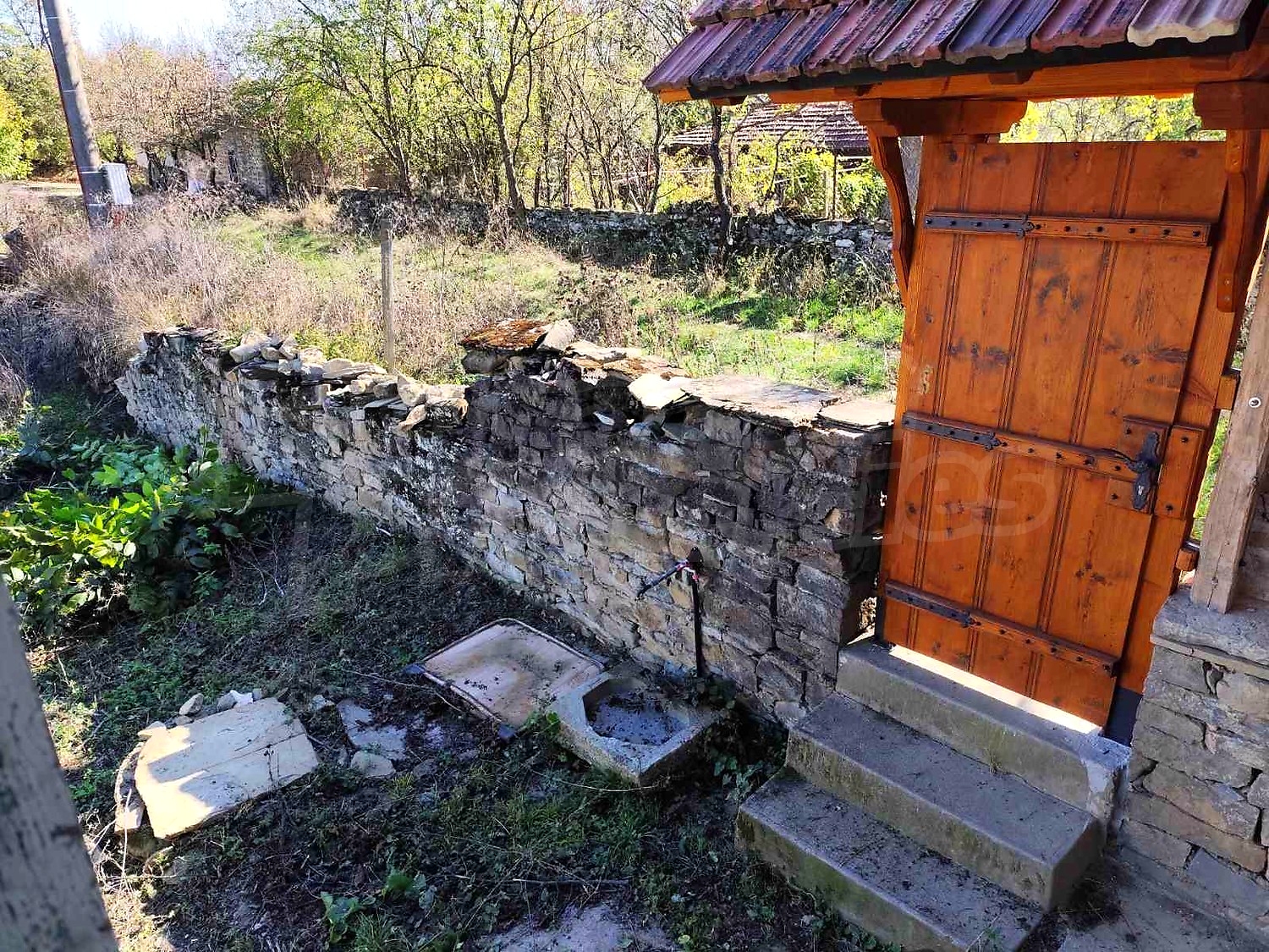 outside, garden
