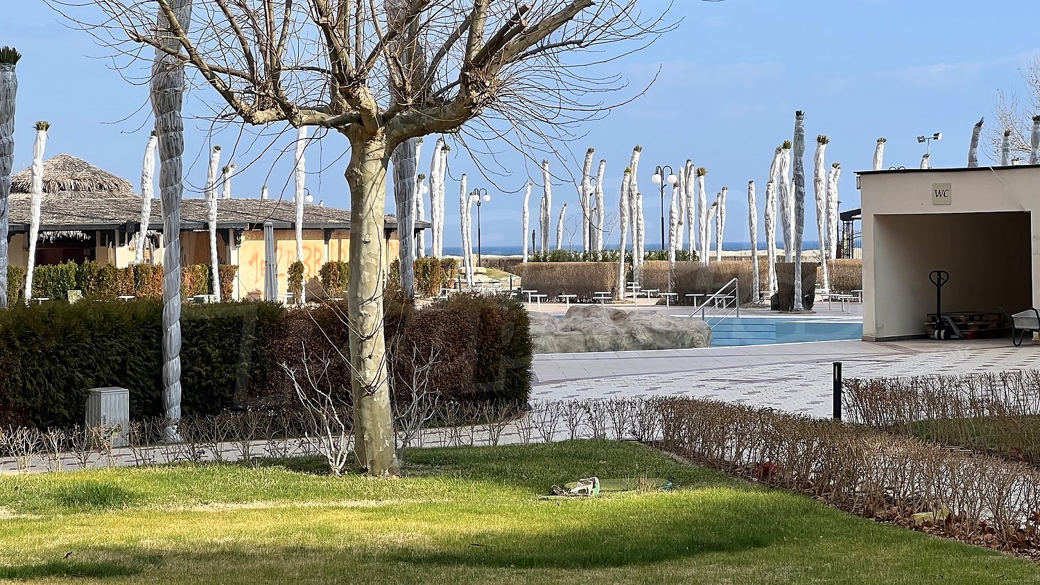 outside, pool, sea, garden