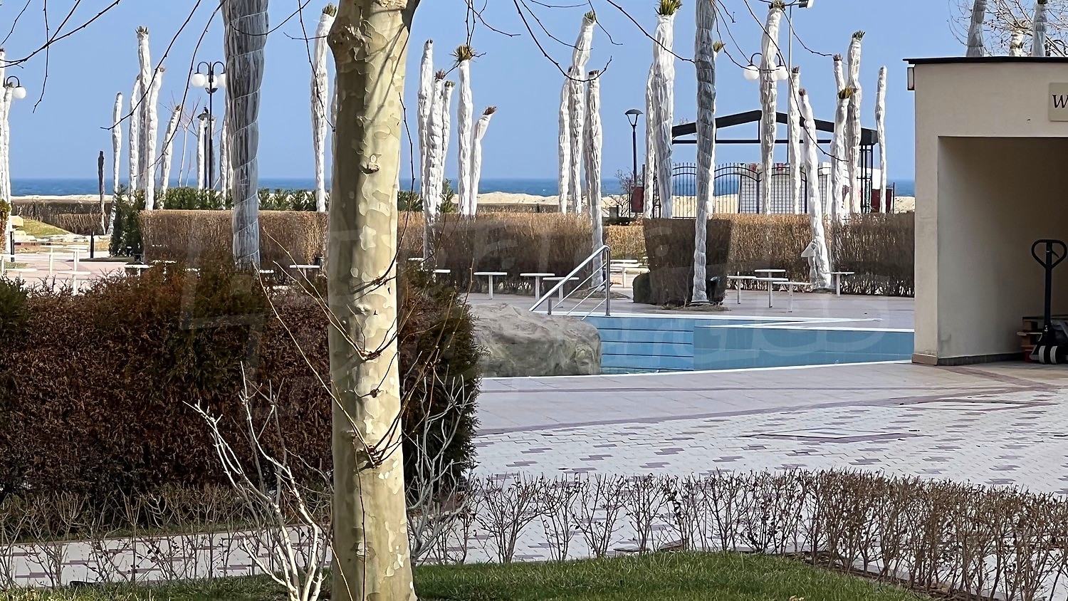 outside, pool, sea, green area