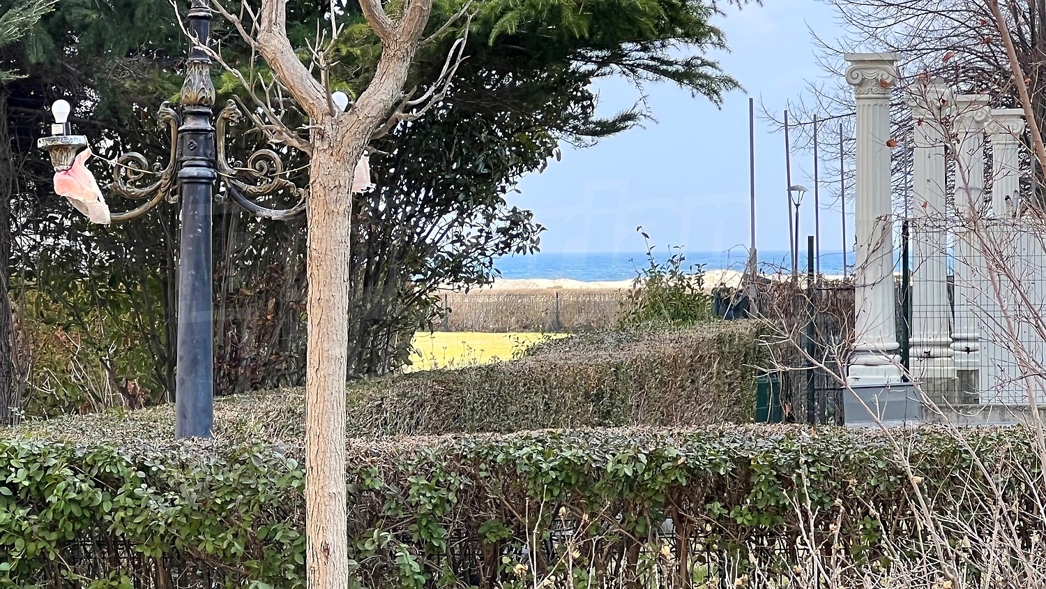 outside, garden, sea