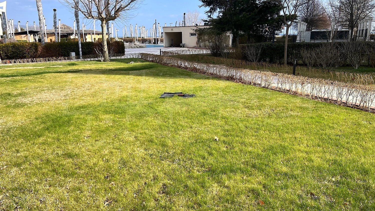 outside, green area, garden