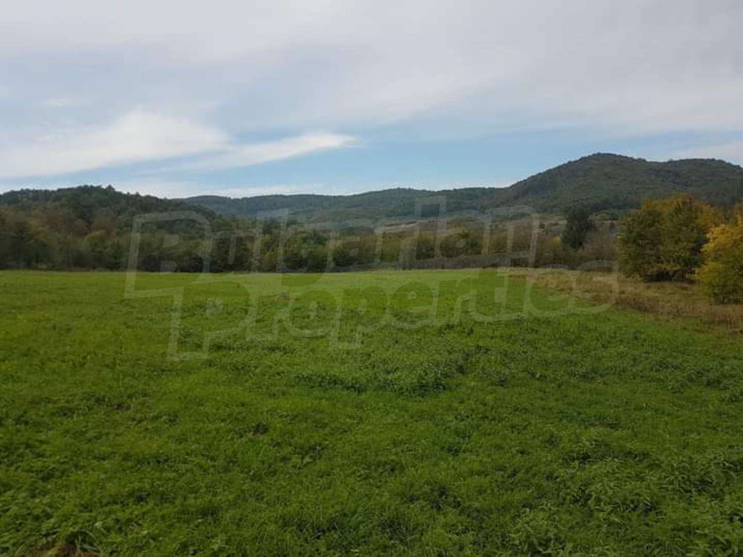 outside, mountain, green area