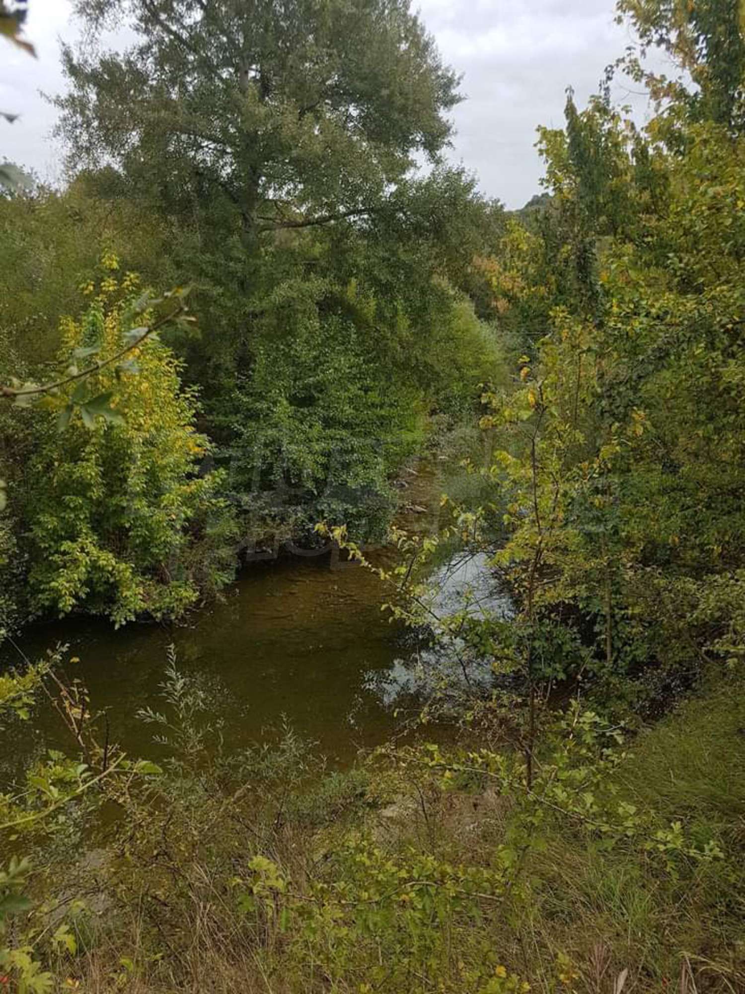 outside, green area