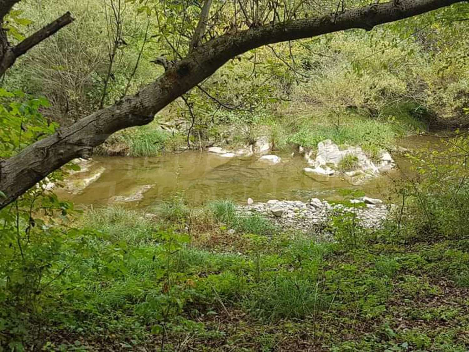 outside, green area