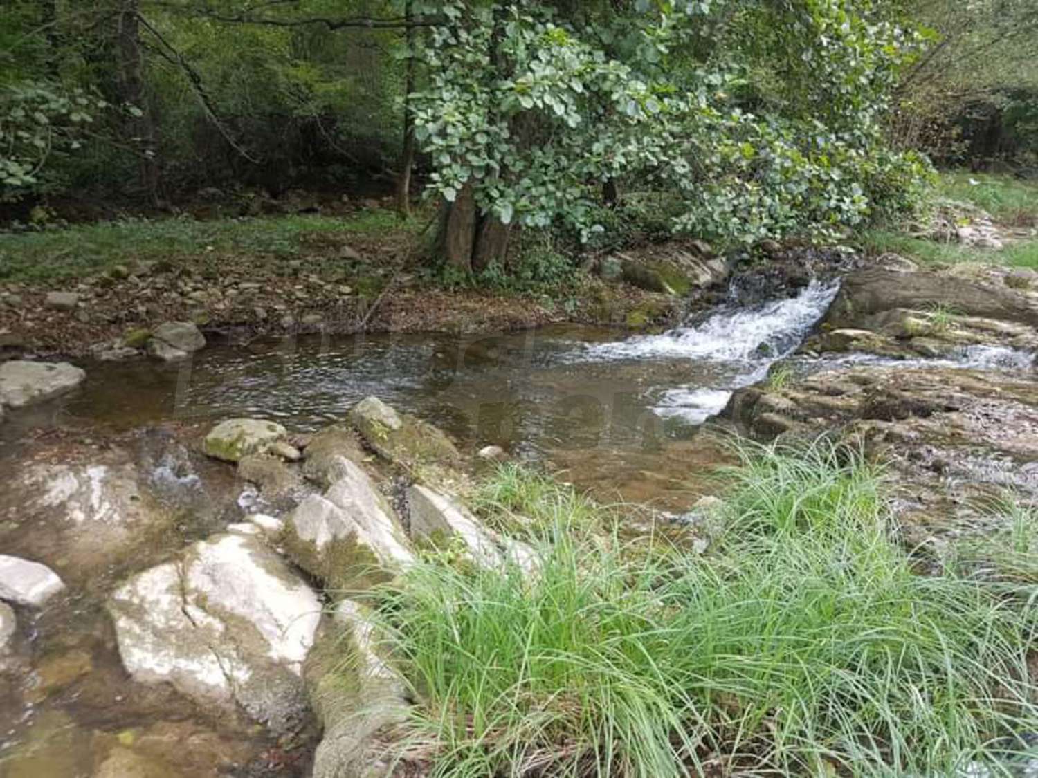 outside, green area