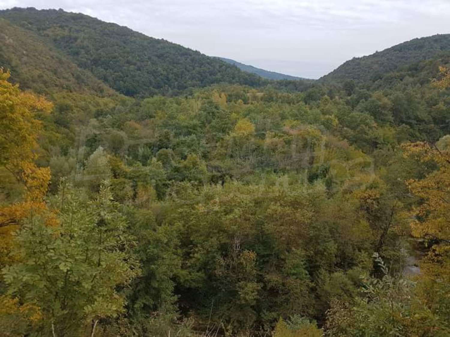 mountain, green area, outside