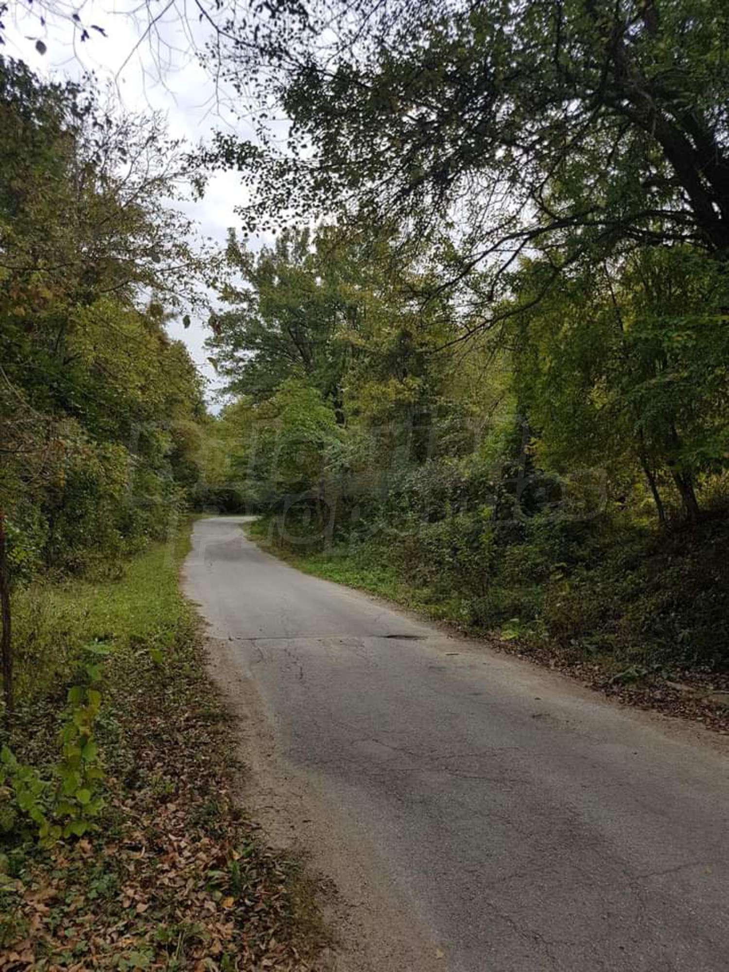 outside, green area