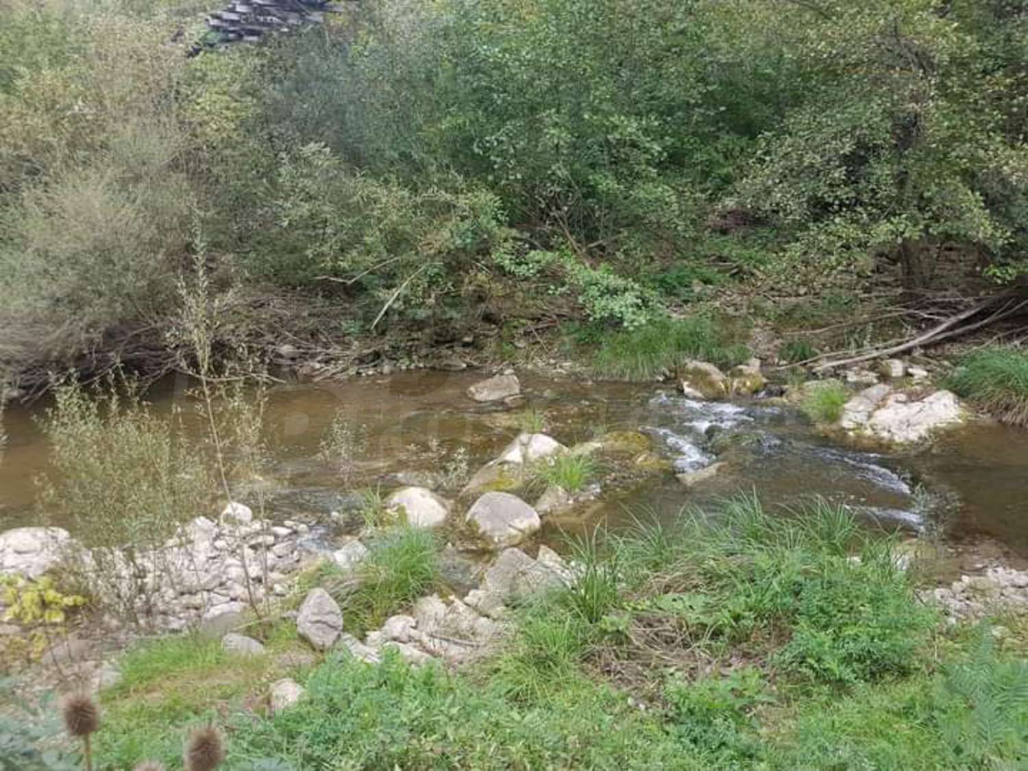 outside, green area