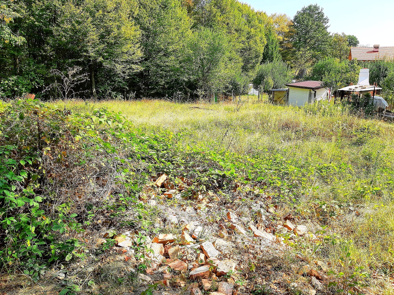outside, garden, green area