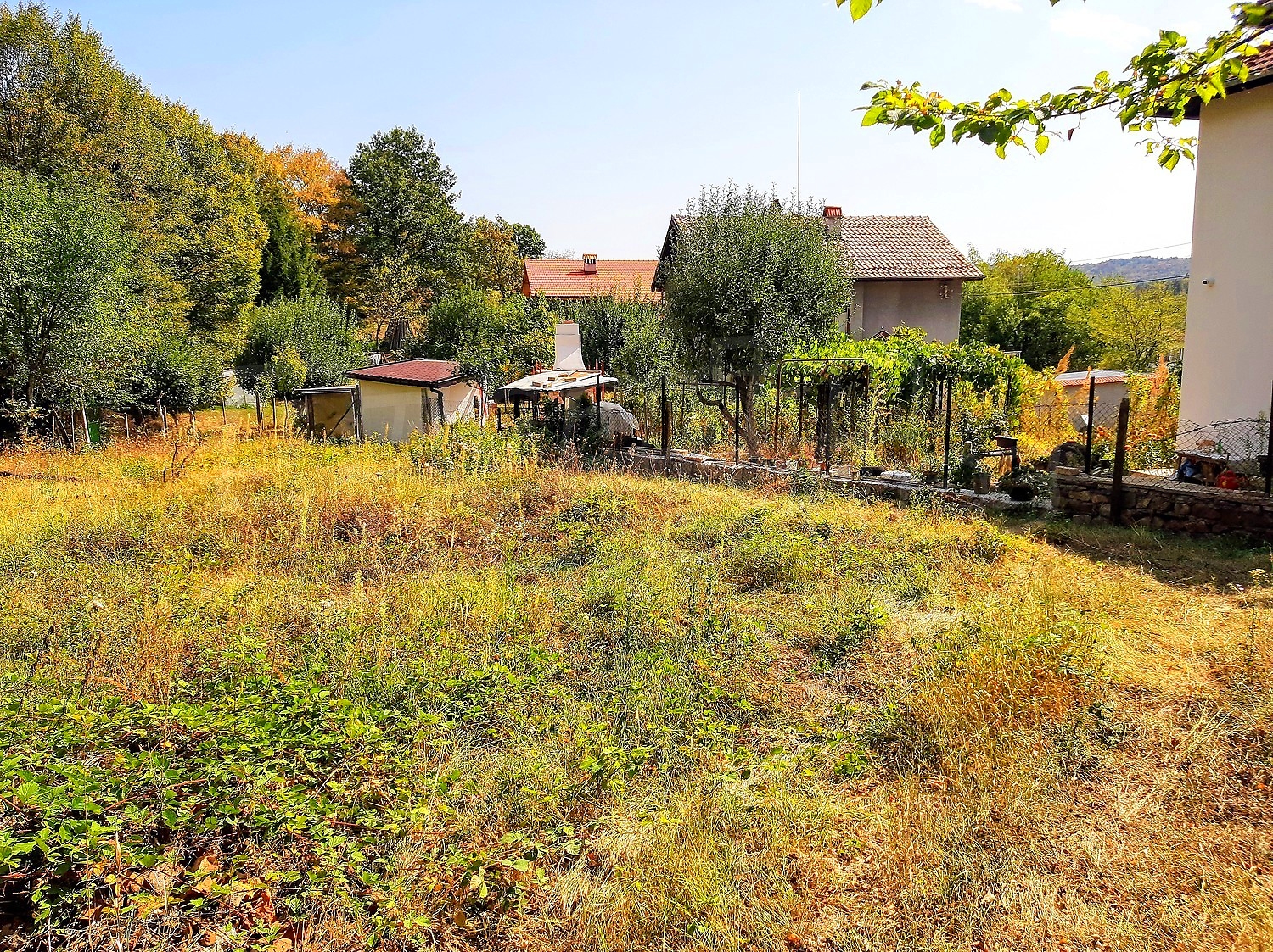 outside, garden, green area
